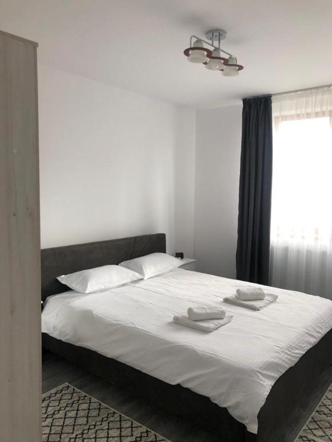 Ilinca-Zgatia Apartment Piatra Neamt Ngoại thất bức ảnh